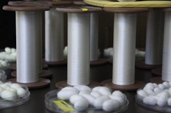 Kraig's Transgenic Spider Silk