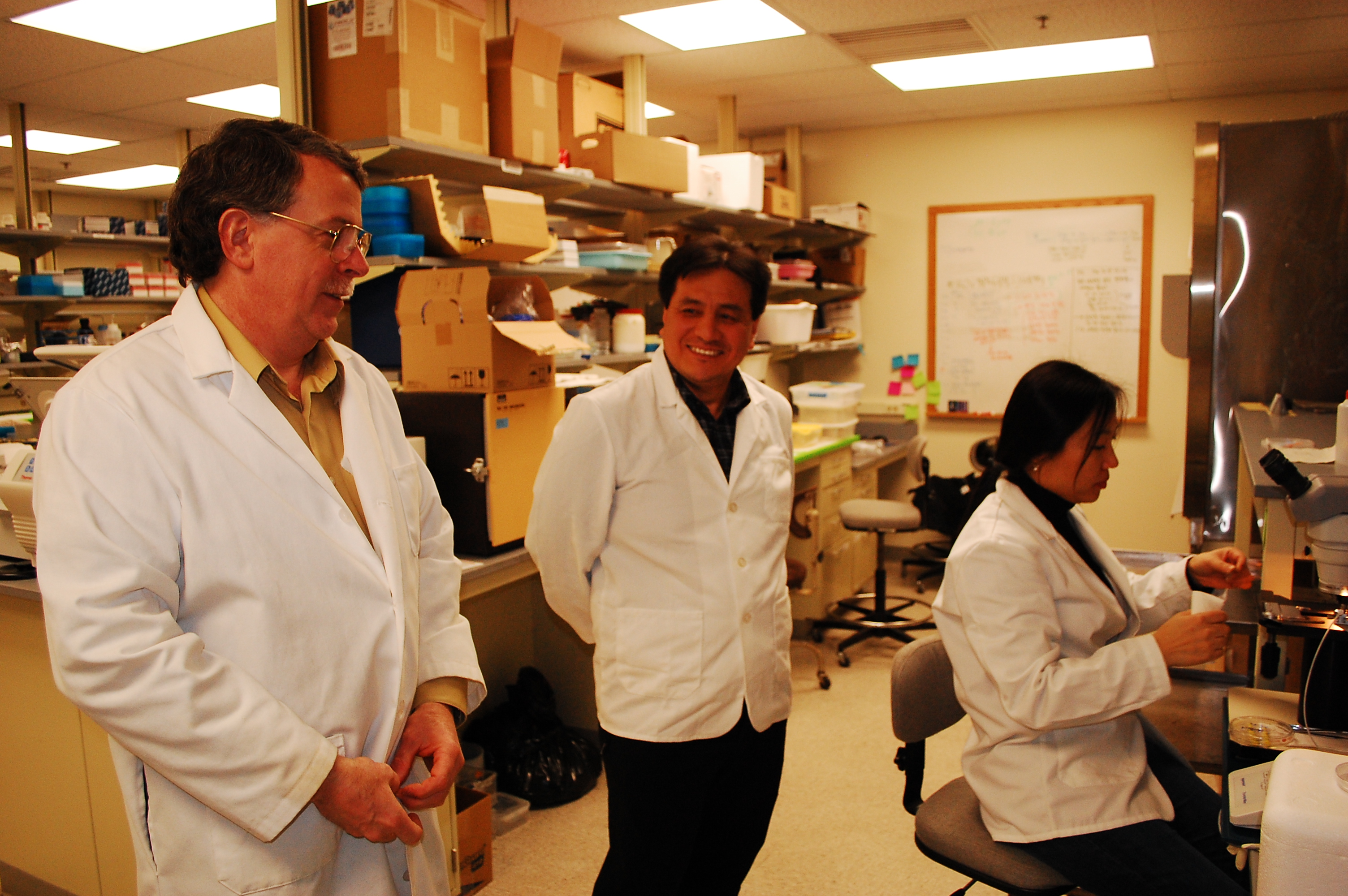 Kraig's Spider Silk Scientists