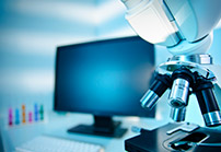 Spider Silk Technology