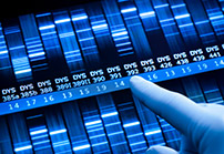 Spider Silk Biotechnology breakthroughs