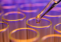 Spider Silk Technical Fiber Markets