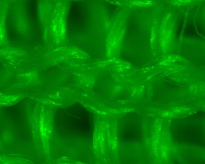 Monster Silk(TM) Knitted Textile Magnified 300x Under Green Filter