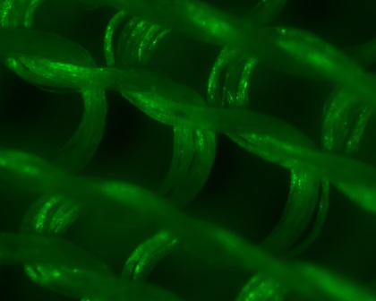 Monster Silk(TM) Knitted Textile Magnified 300x Under Green Filter
