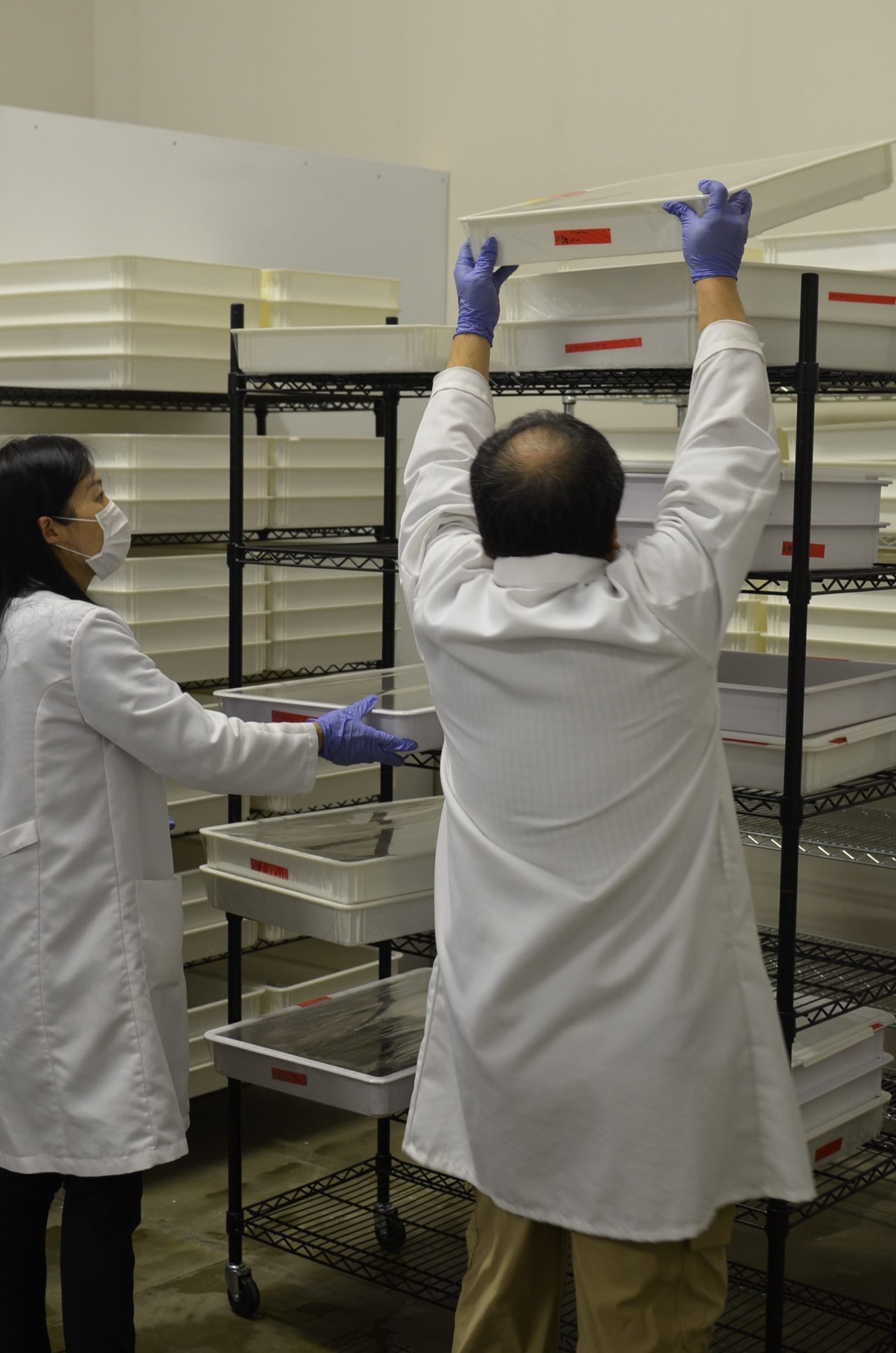 Kraig Biocraft Laboratories new Spider Silk Production Facility now